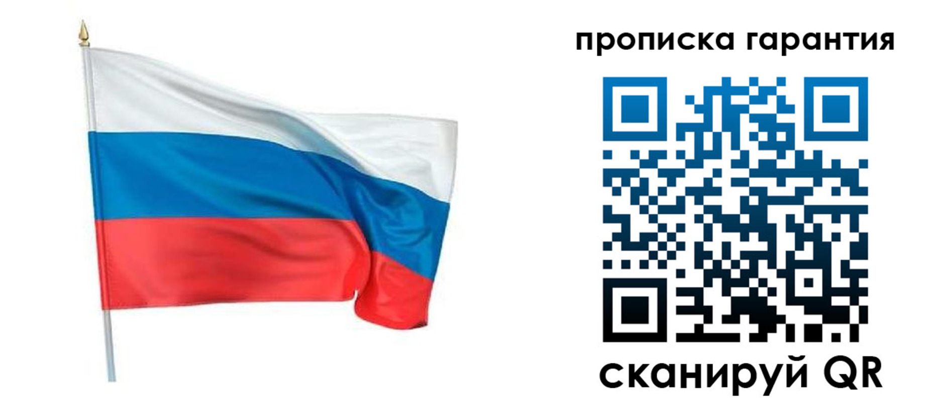 прописка регистрация в Светлогорске